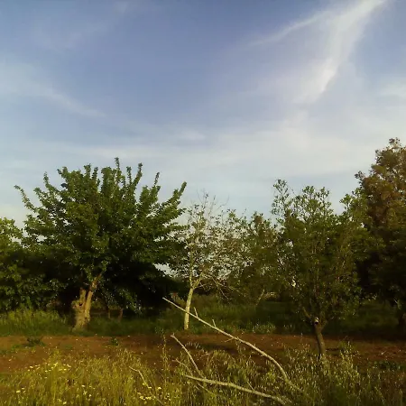 Caldare *